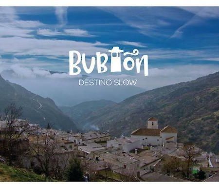 Bubion. Alpujarra Granadina Lejlighed Eksteriør billede
